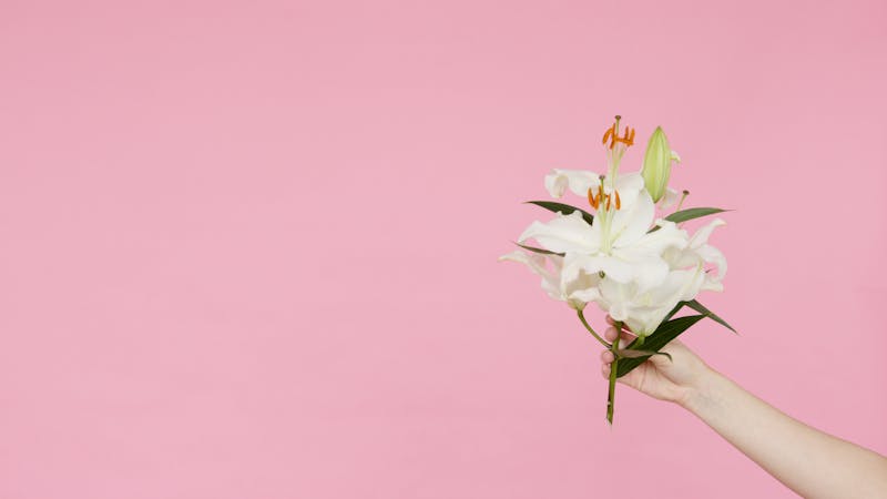 Gerbe funéraire de lys blancs